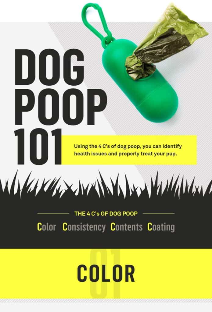 93 dog-poop-101-ig