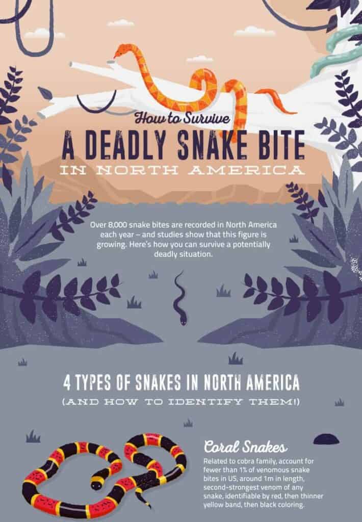 98 deadly snake guide