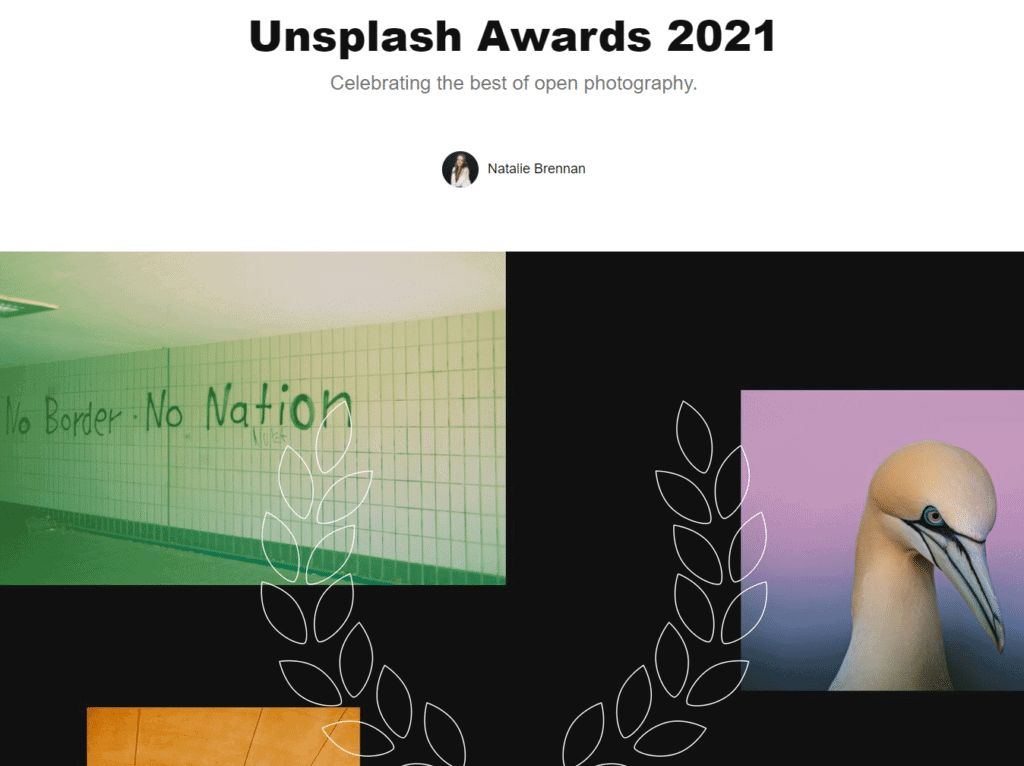 Unsplash awards page