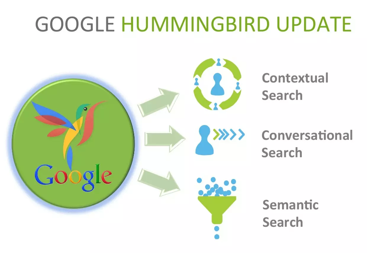 Hummingbird update