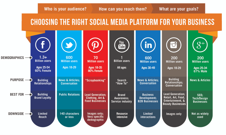 Choosing the Right Social Media Platform Infographic