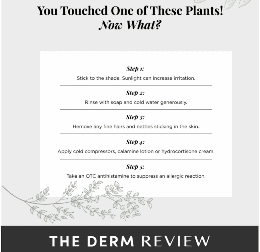 The Derm Review Infographic